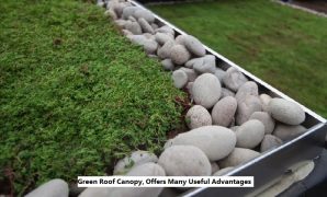 Green Roof Canopy