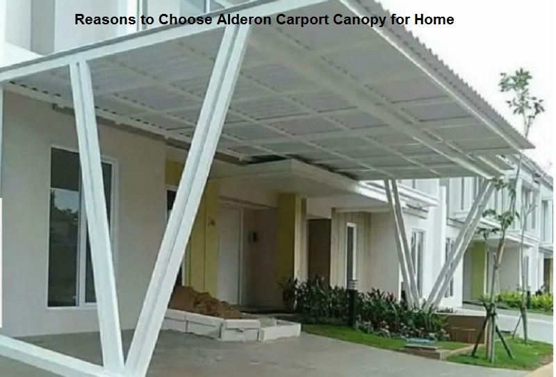 Alderon Carport Canopy