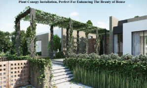 Plant Canopy