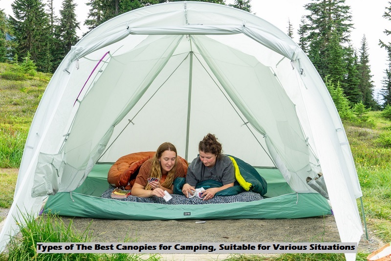 Best Canopies for Camping