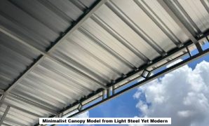 Minimalist Canopy Model